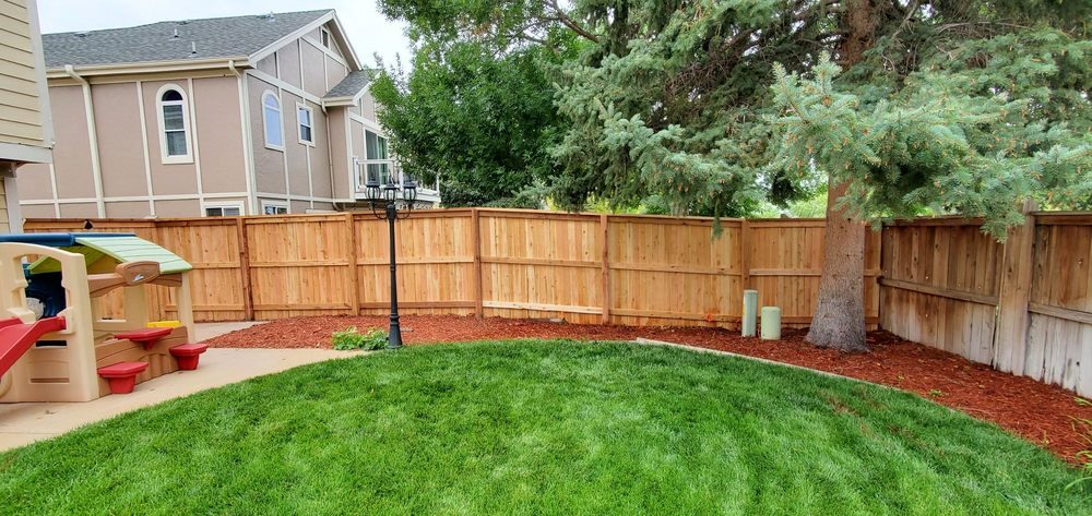 Cedar fence with walk gate