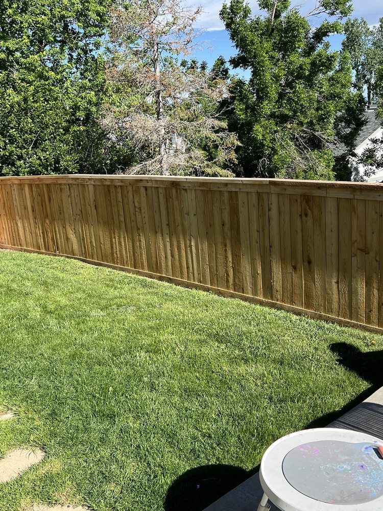 Cedar side-yard fence with green lawn