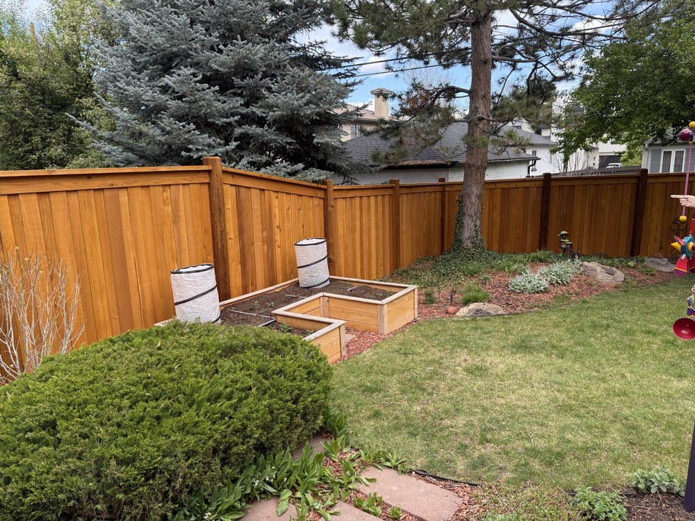 Cedar privacy fence with lawn, Denver